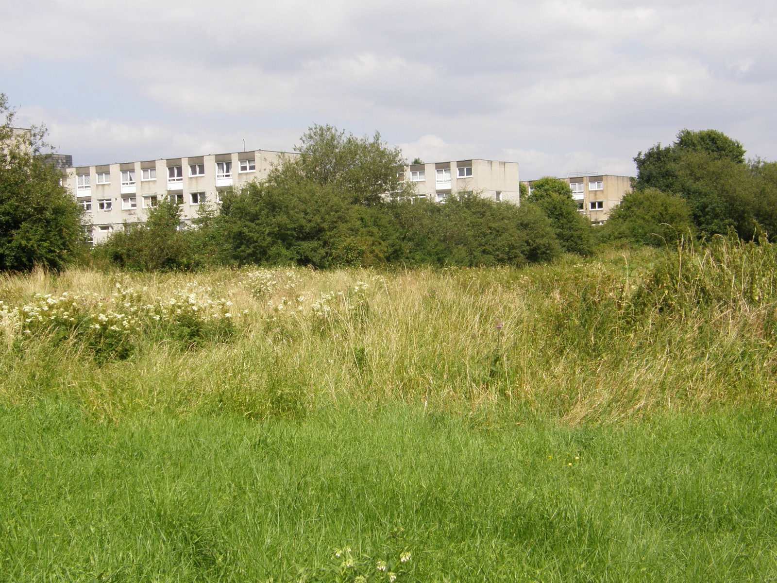 Image from Leytonstone to Debden