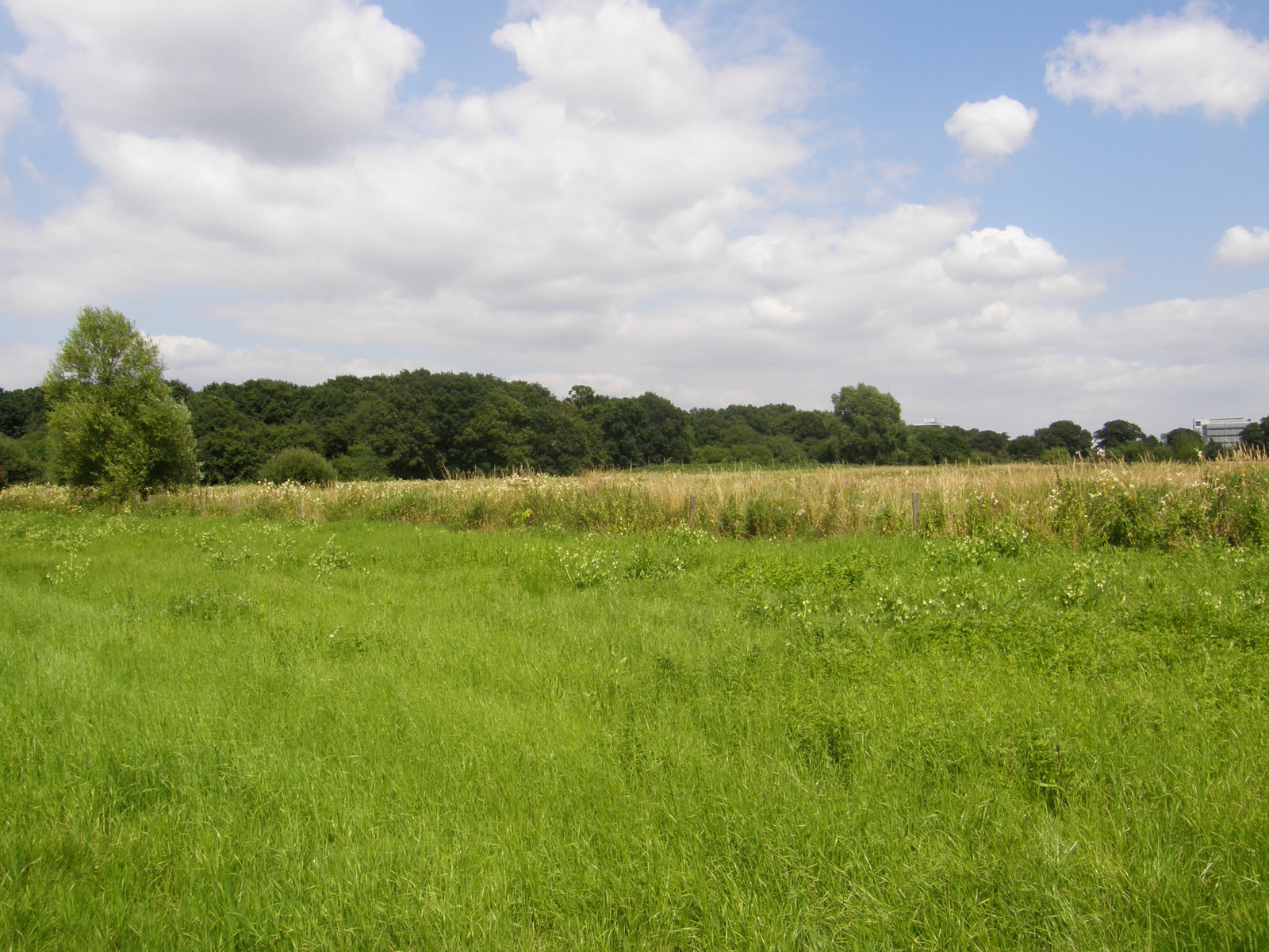 Image from Leytonstone to Debden