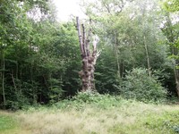 Image from Leytonstone to Debden