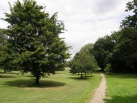 Image from Leytonstone to Debden
