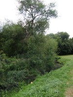 Image from Leytonstone to Debden