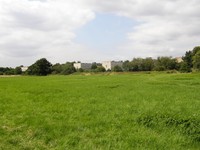 Image from Leytonstone to Debden