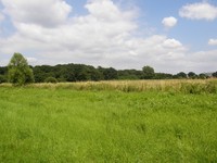 Image from Leytonstone to Debden