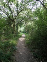 Image from Leytonstone to Debden
