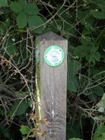 Image from Leytonstone to Debden