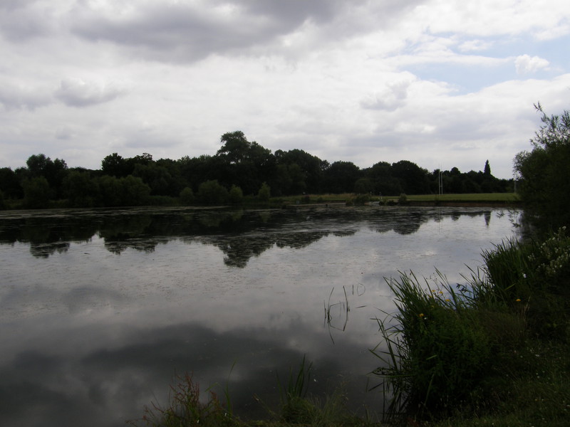 Lake scenery by the River Roding