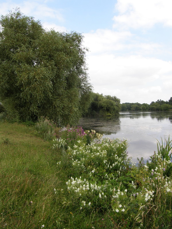 The lake by the River Roding