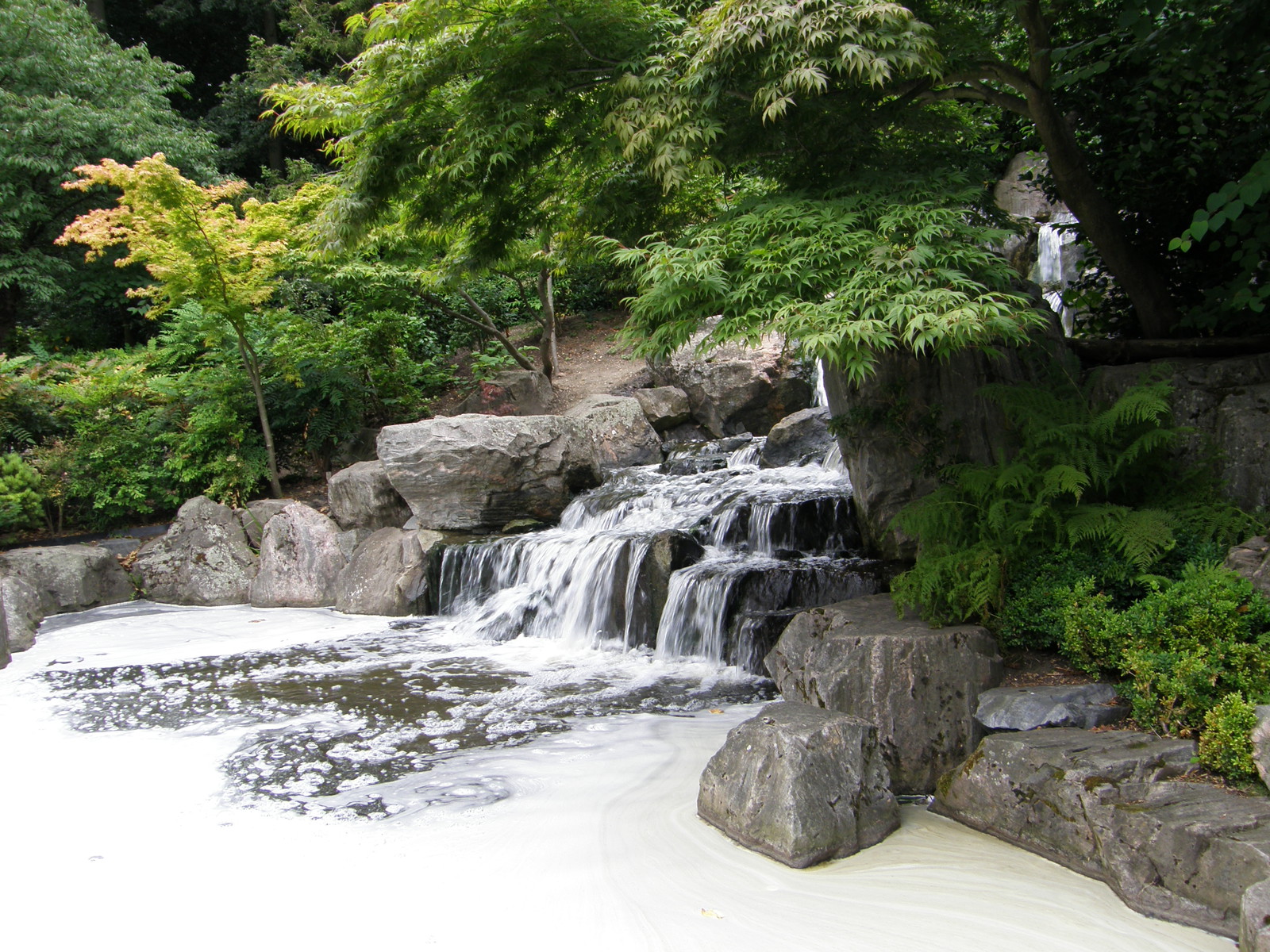 The Kyoto Garden