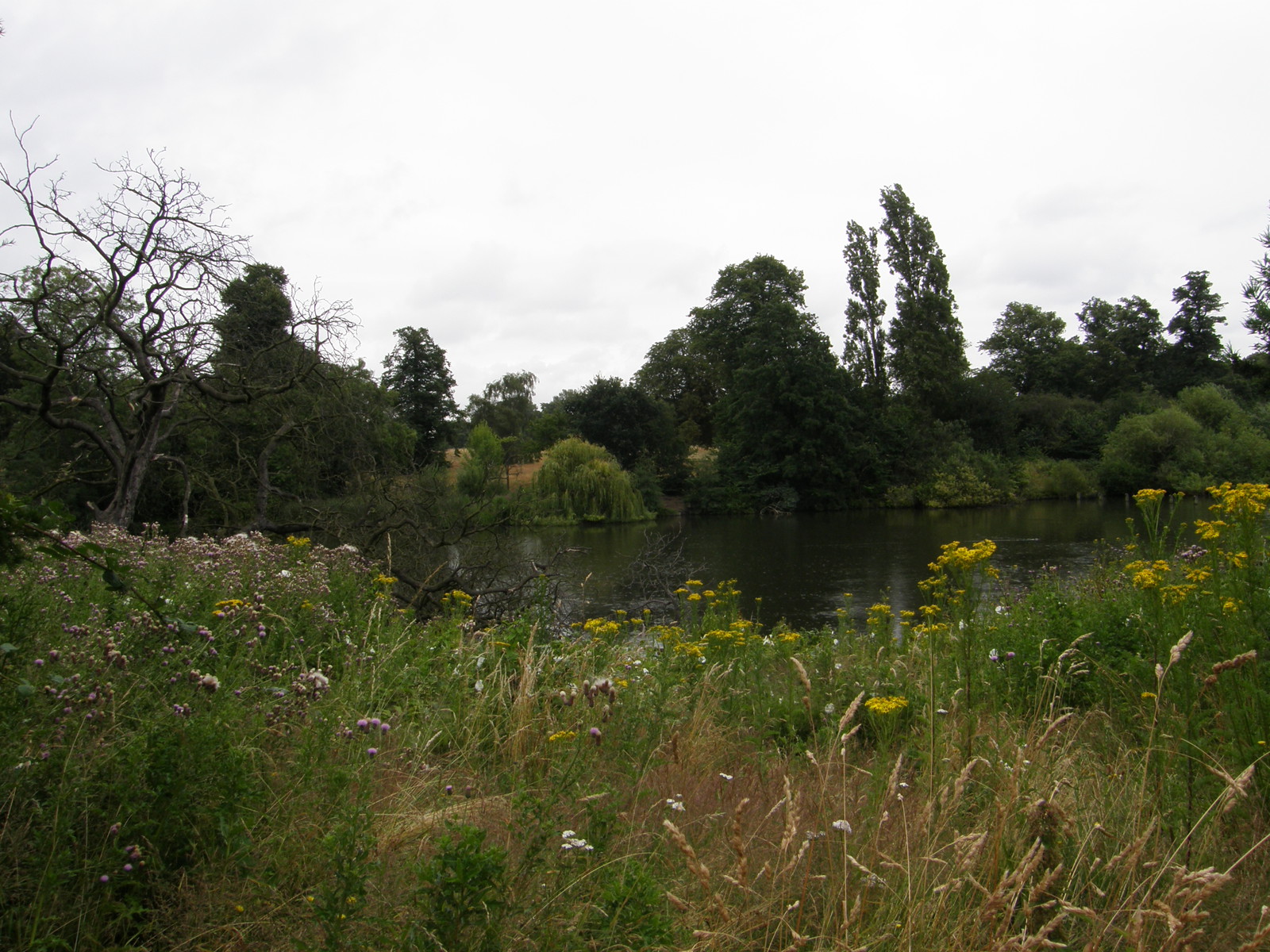 Image from Shepherd's Bush to Liverpool Street