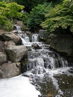 The Kyoto Garden