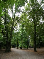 Image from Shepherd's Bush to Liverpool Street