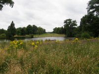 Kensington Gardens from Hyde Park