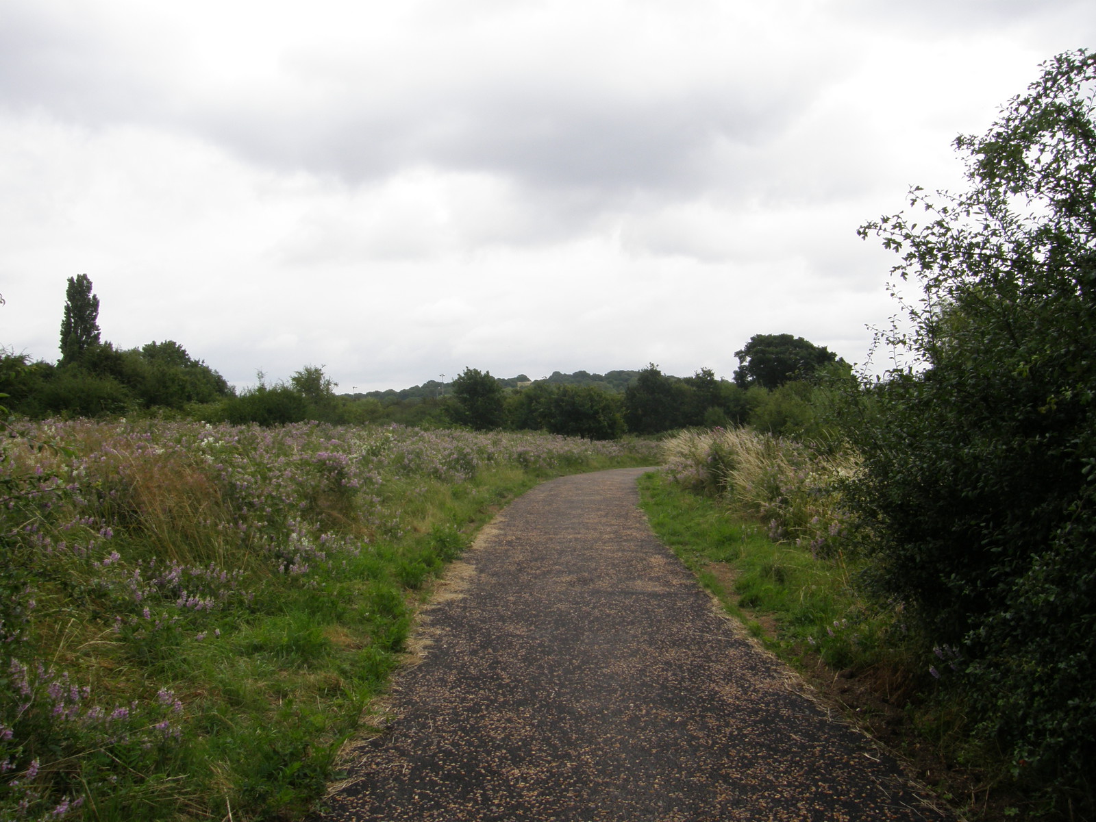 Image from West Ruislip to Perivale