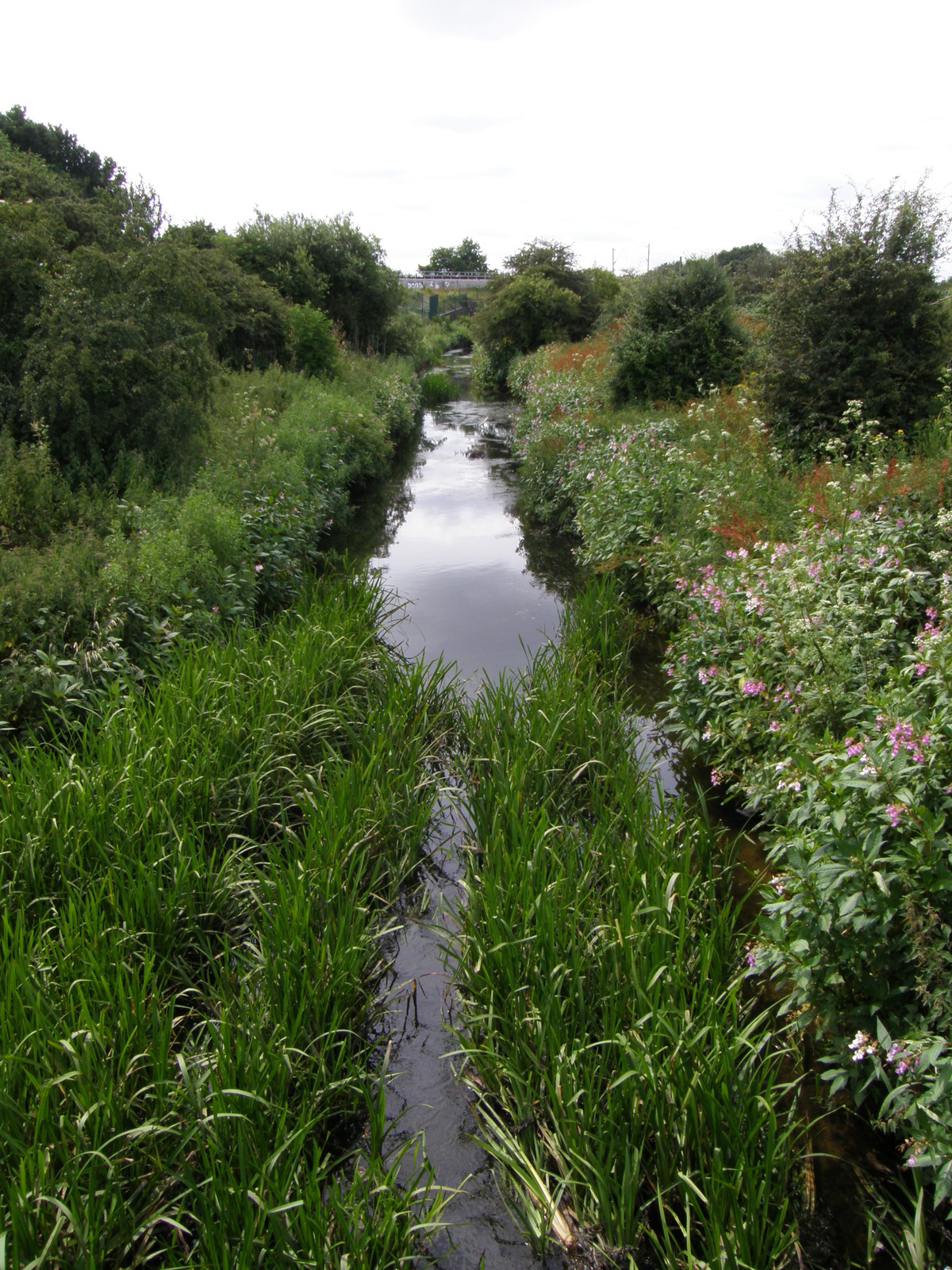 Image from Becontree to Upminster