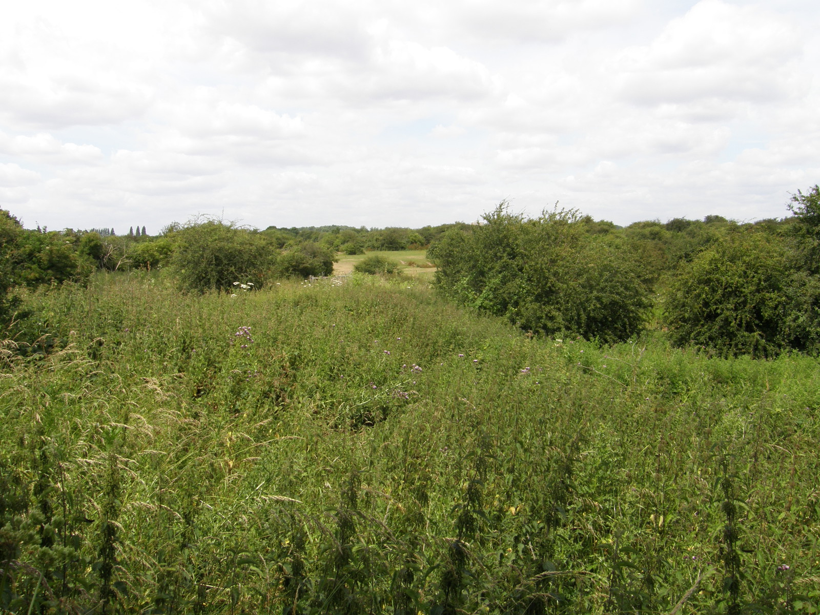 Image from Becontree to Upminster