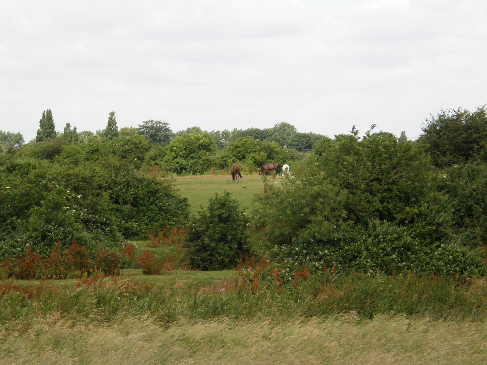 Image from Becontree to Upminster