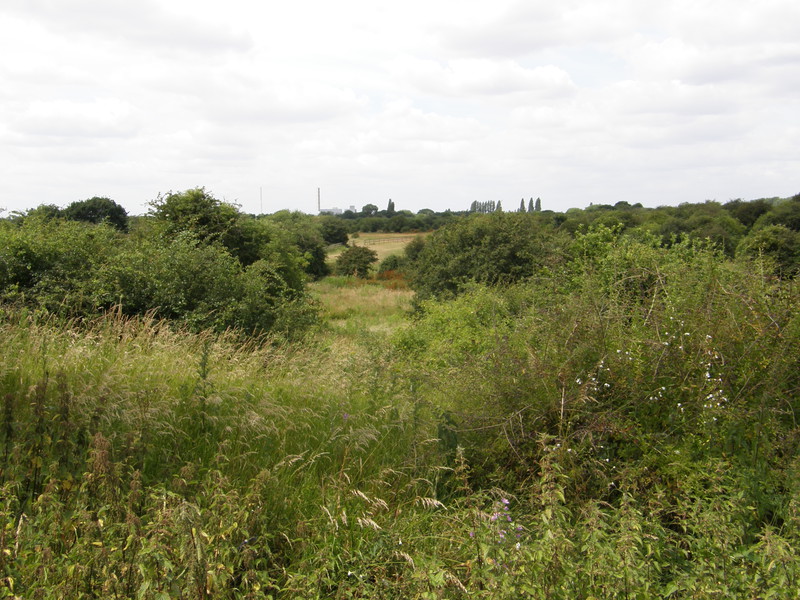 Chase Nature Reserve