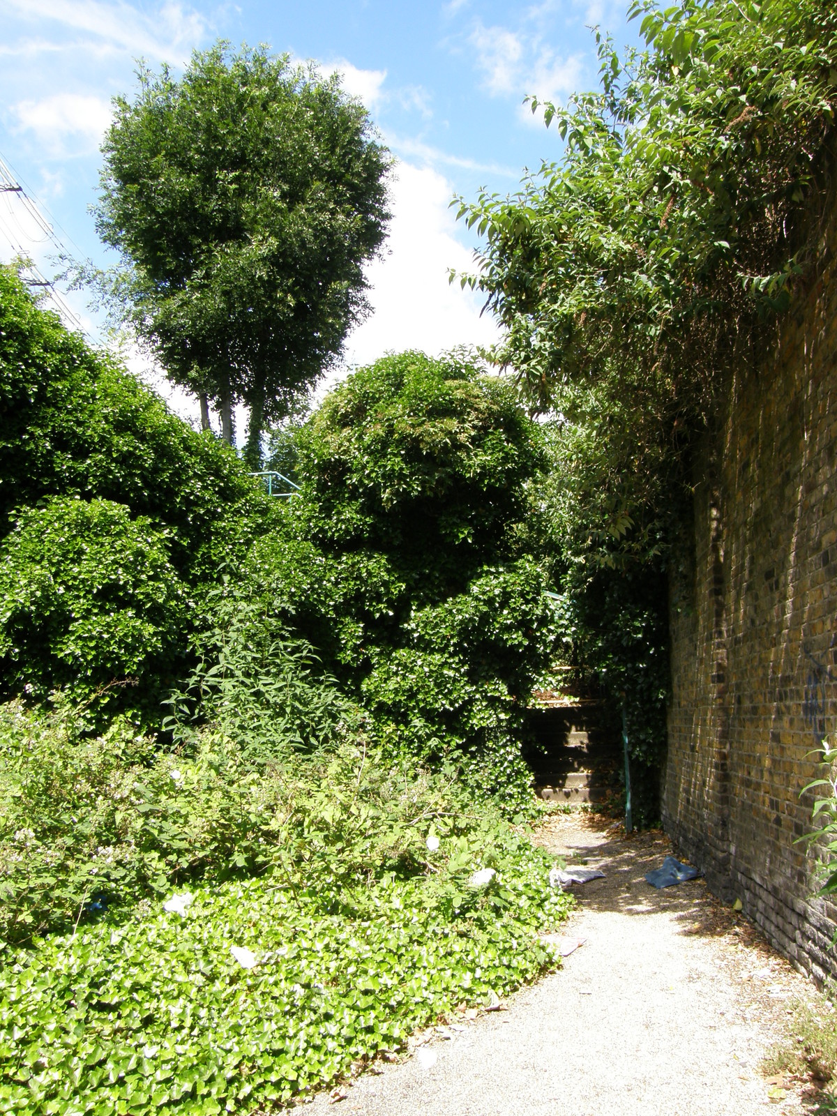 Image from Bow Road to Becontree