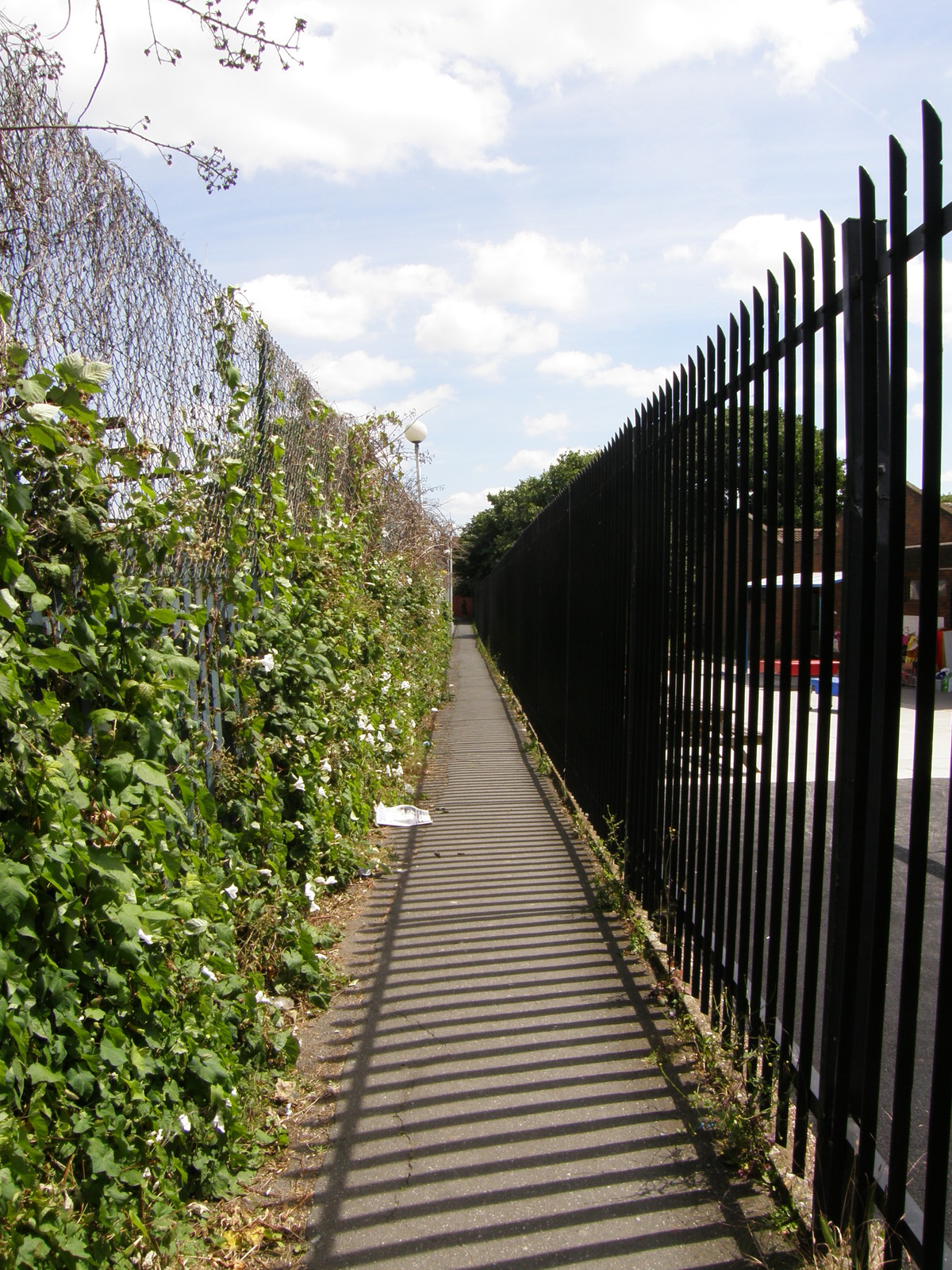 Image from Bow Road to Becontree