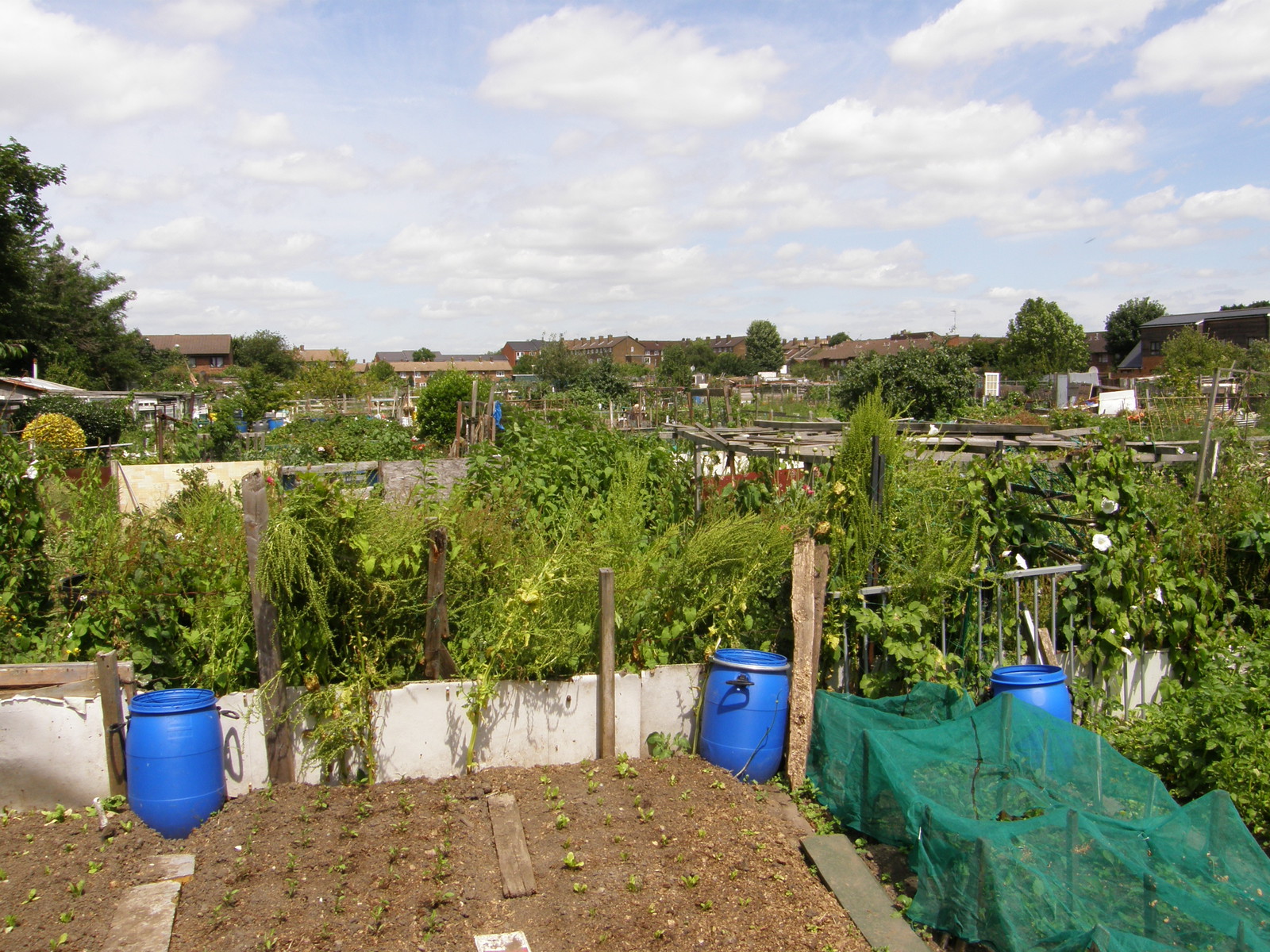 Image from Bow Road to Becontree