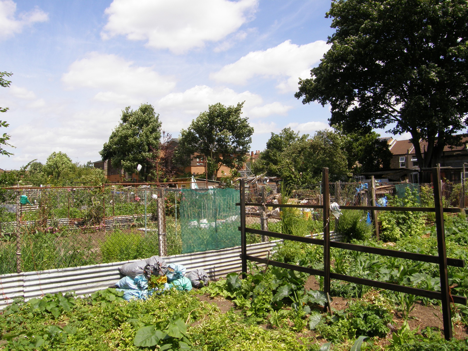 Image from Bow Road to Becontree