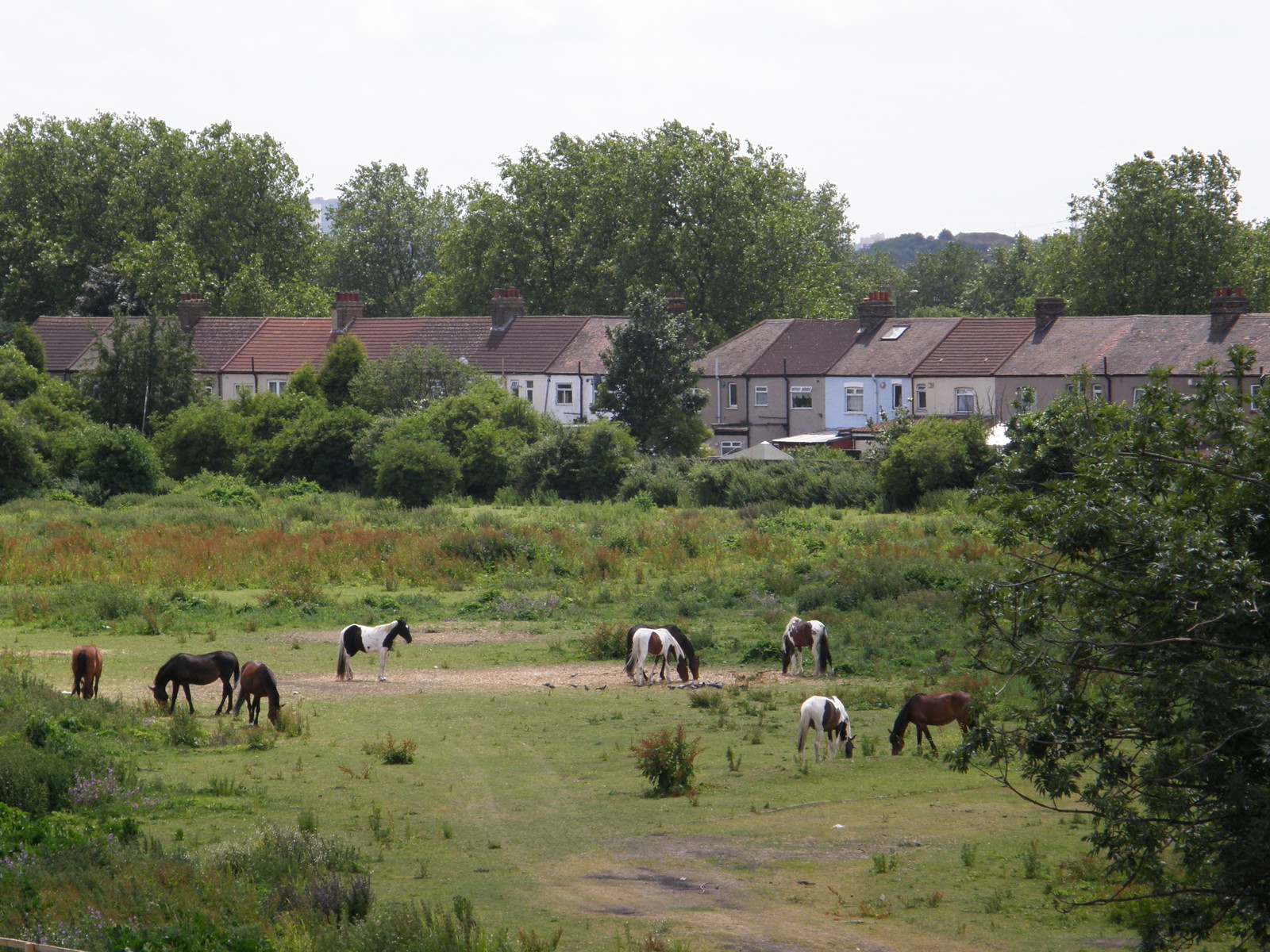 Image from Bow Road to Becontree