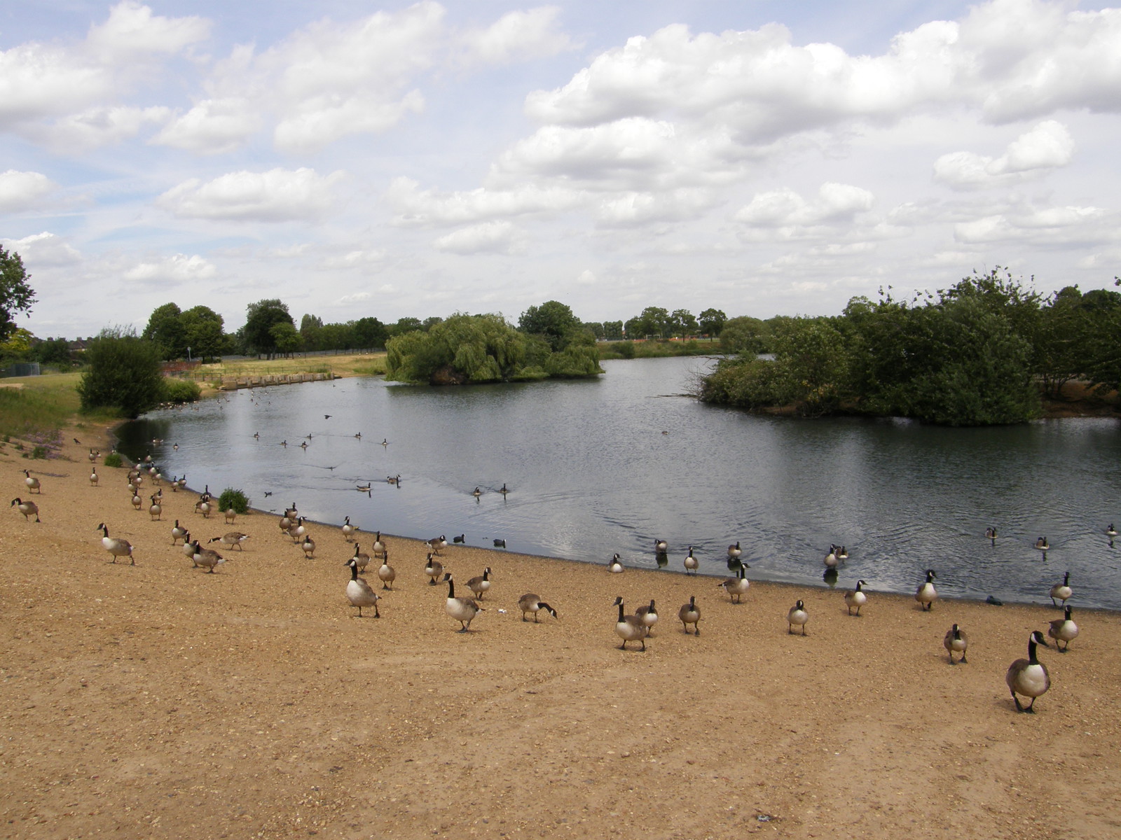 Image from Bow Road to Becontree