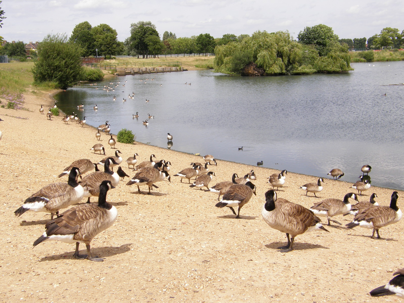 Image from Bow Road to Becontree