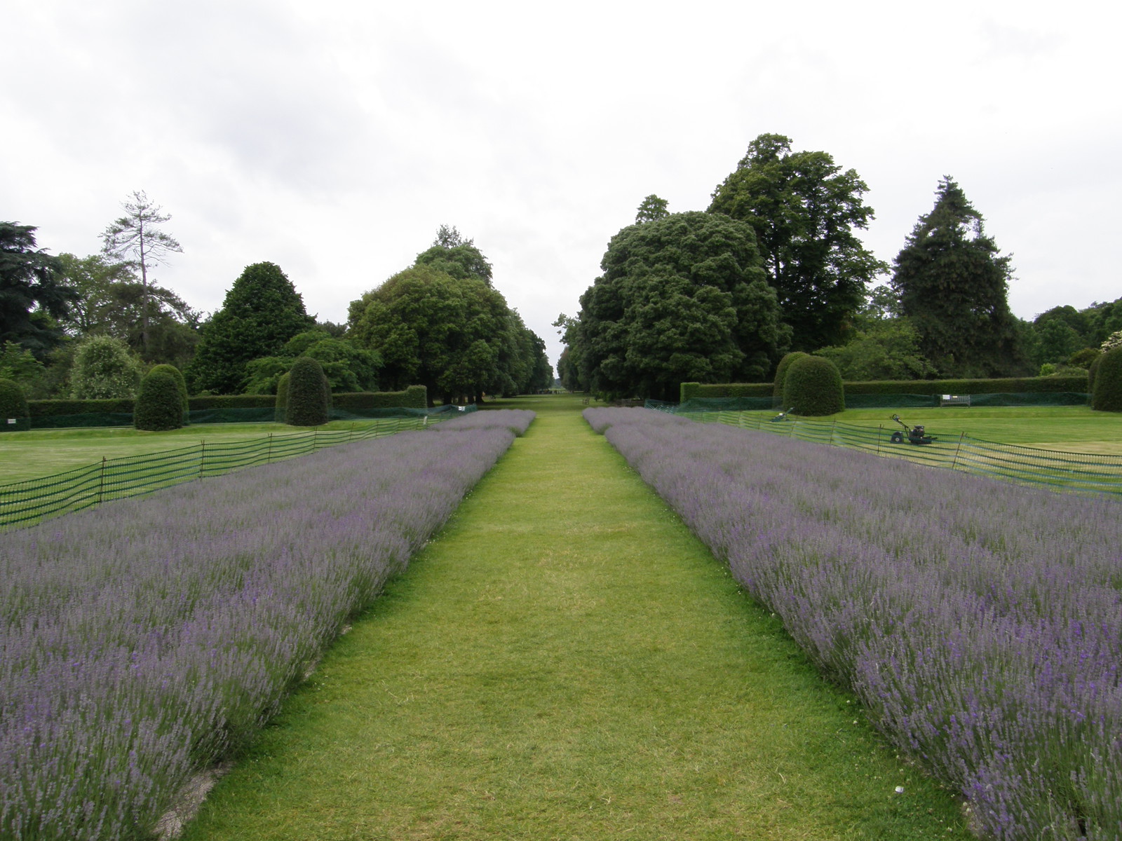 Image from Richmond to Ealing Broadway