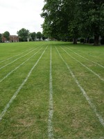 Chiswick Common