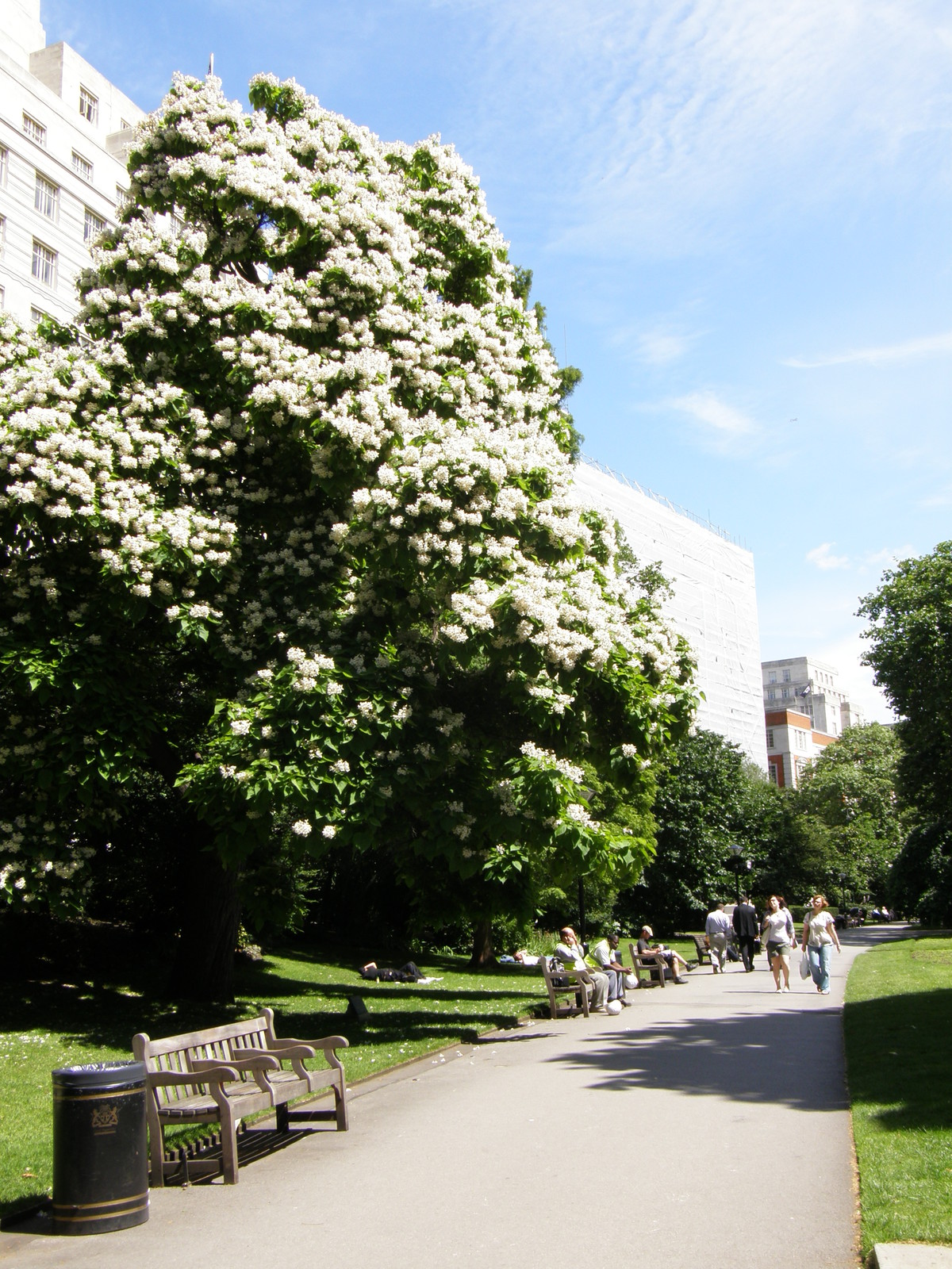 Image from Victoria to Bow Road