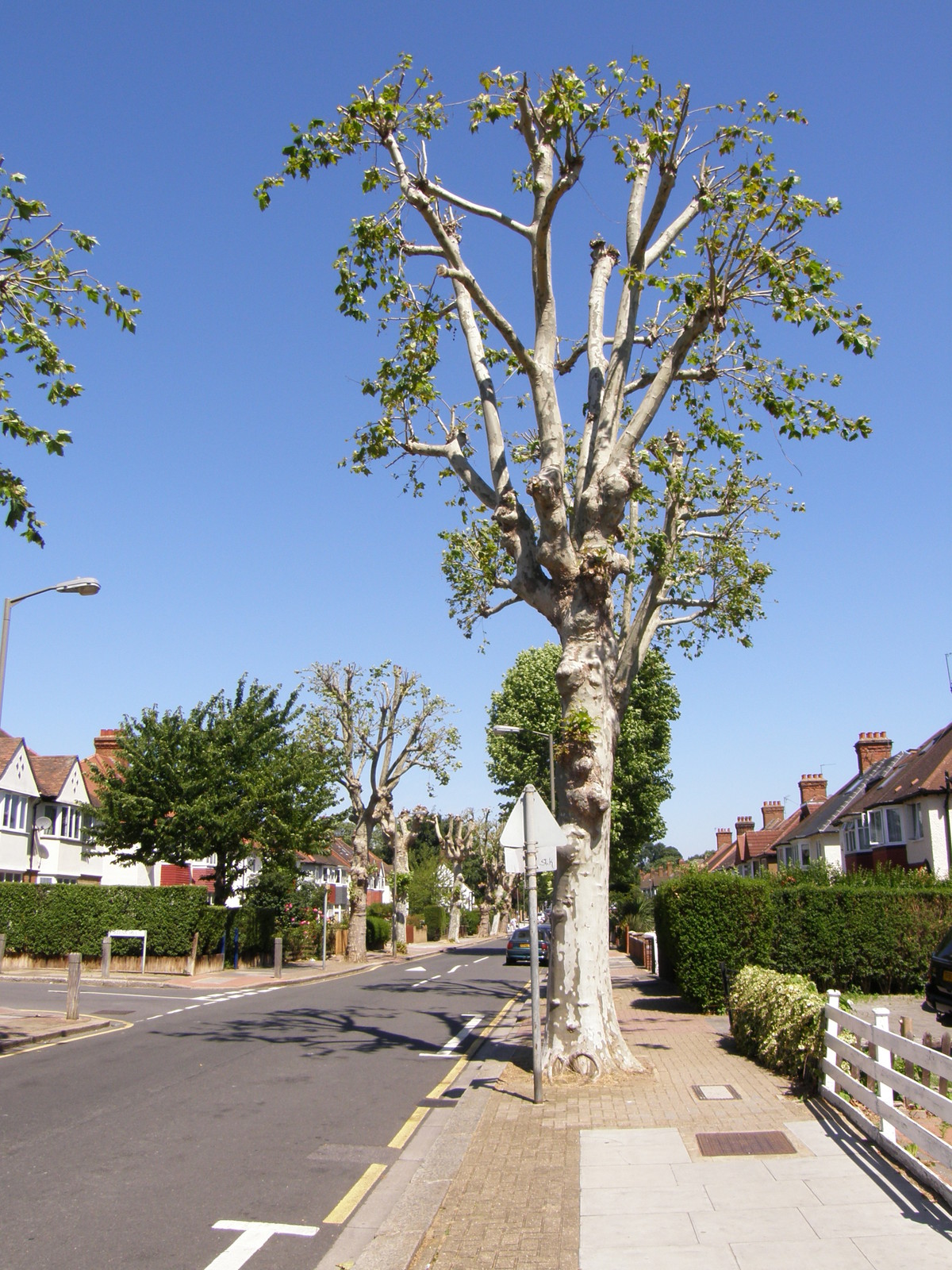 Image from Wimbledon to Edgware Road