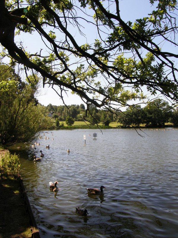 Wimbledon Park lake