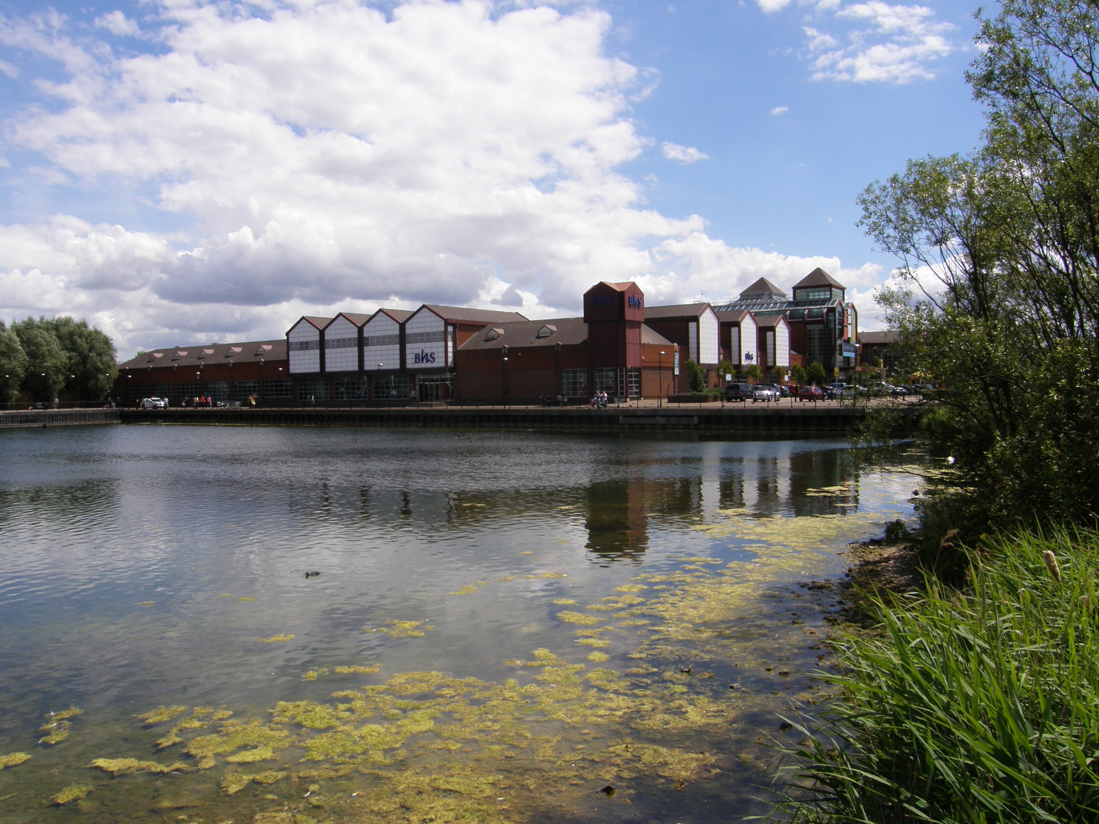 Canada Water nature reserve