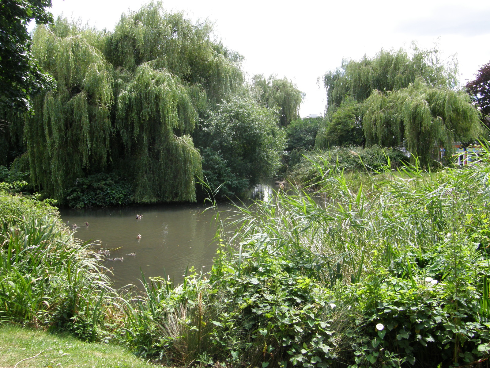 Folkestone Gardens