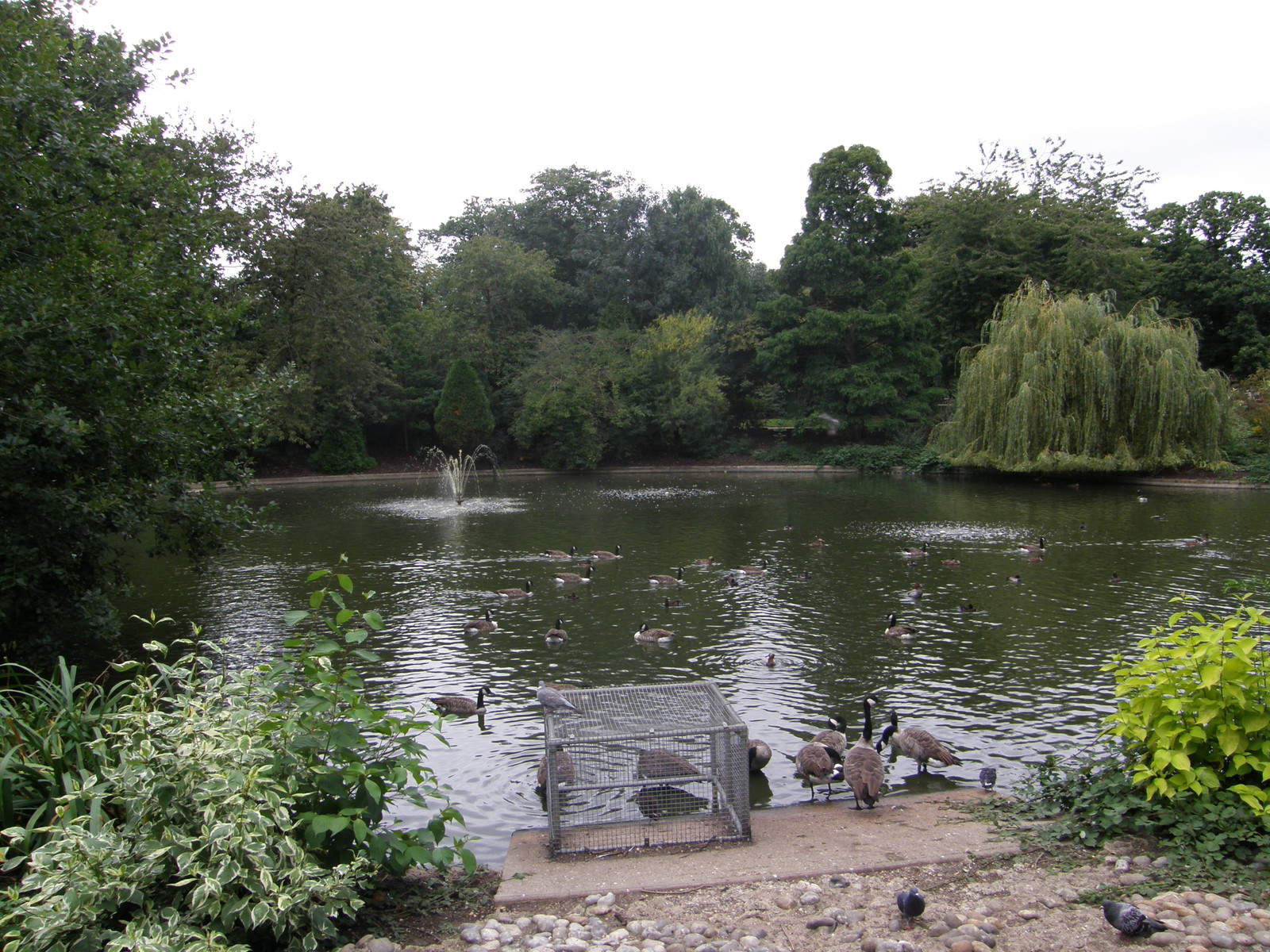 Image from Canada Water to North Greenwich