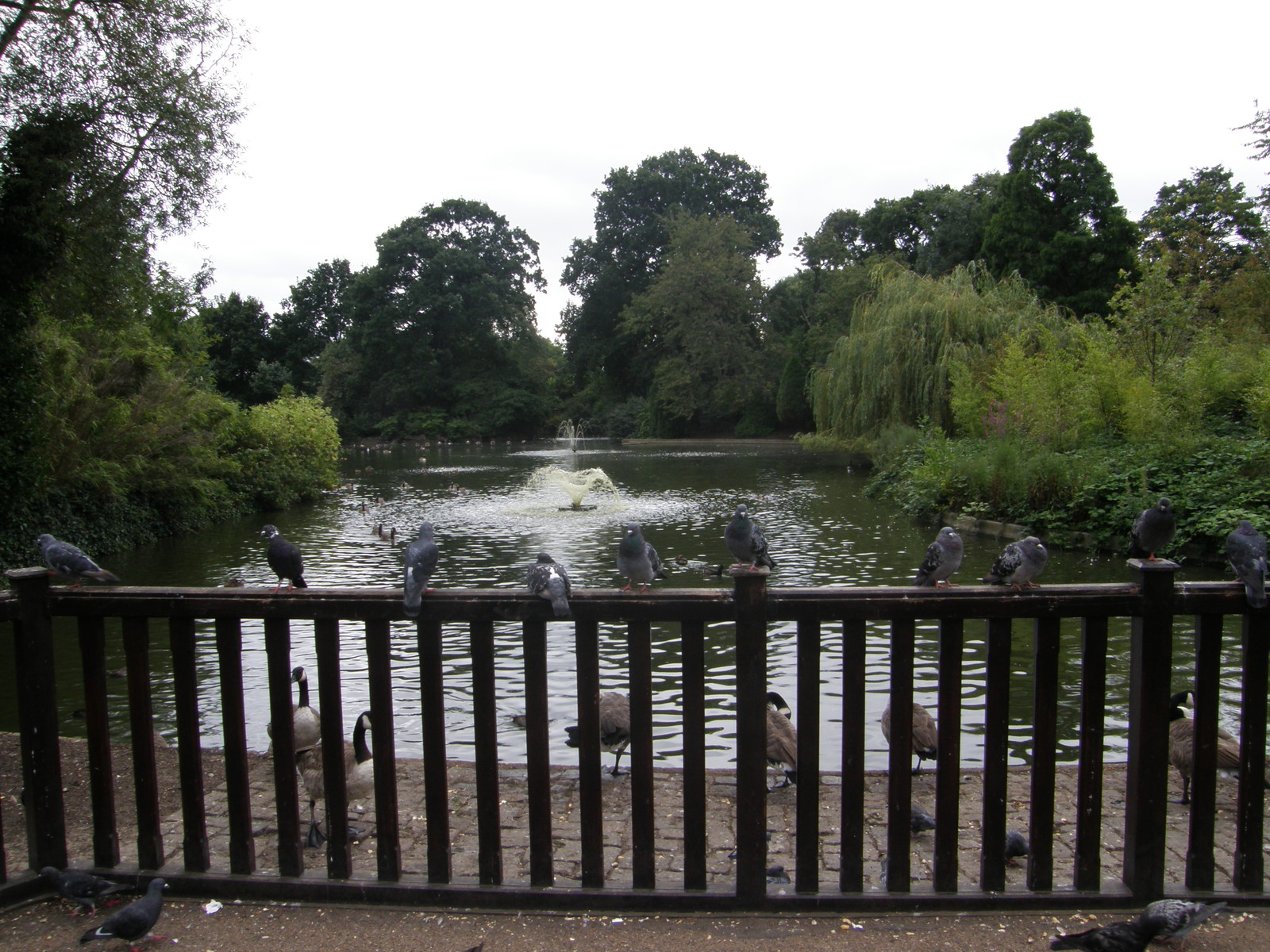 Image from Canada Water to North Greenwich