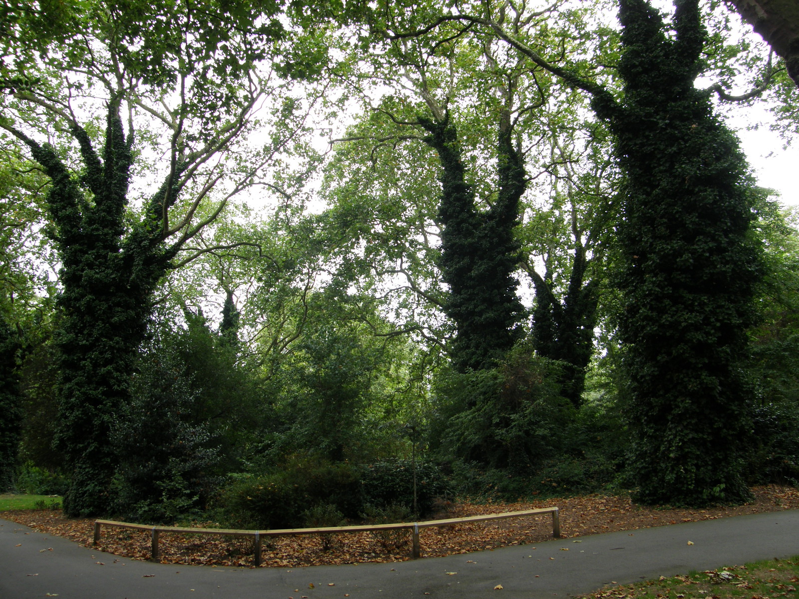 Image from Green Park to Canada Water