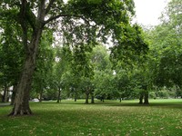 Image from Green Park to Canada Water