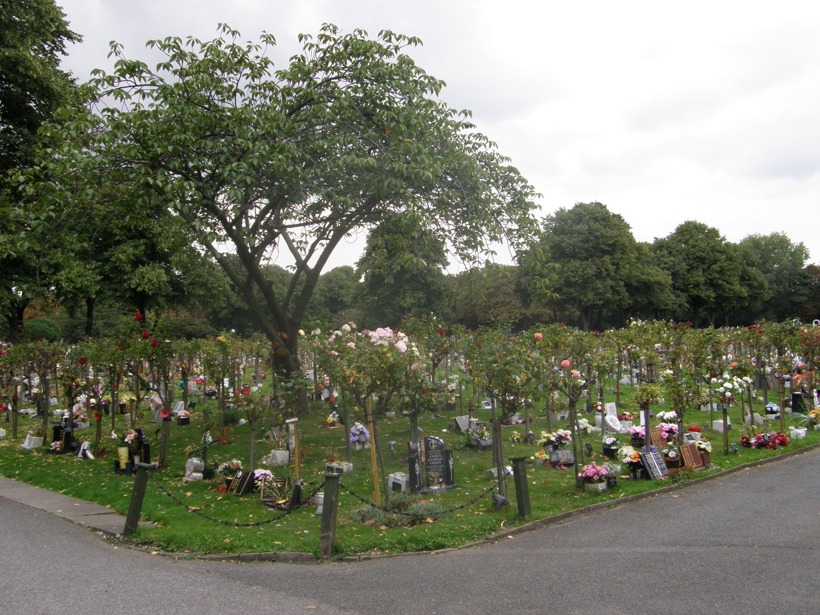 Image from North Greenwich to Stratford