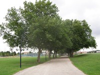 Image from North Greenwich to Stratford