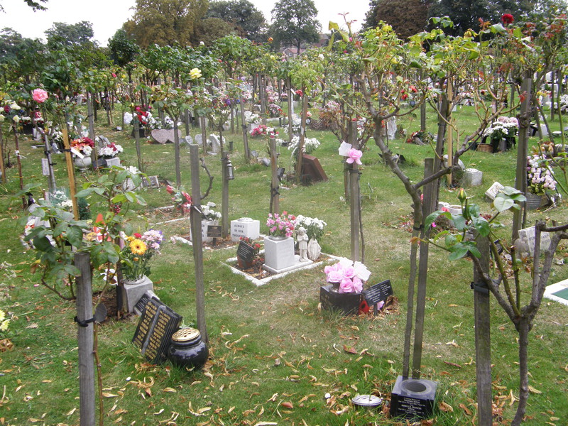 The 'orchard' in East London Cemetery