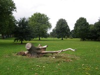 Image from Stanmore to Dollis Hill