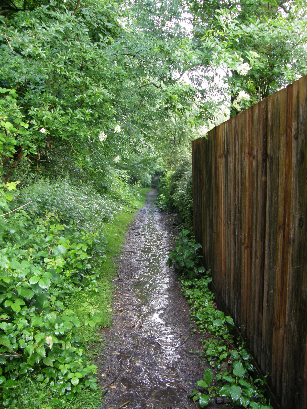 Image from Chorleywood to Amersham and Chesham