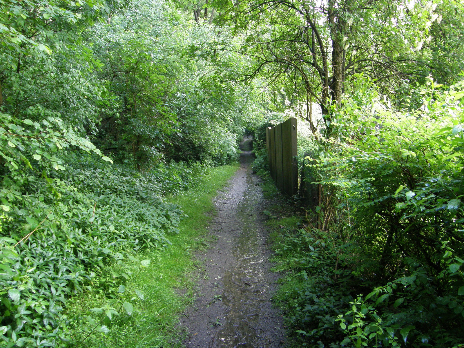 Image from Chorleywood to Amersham and Chesham