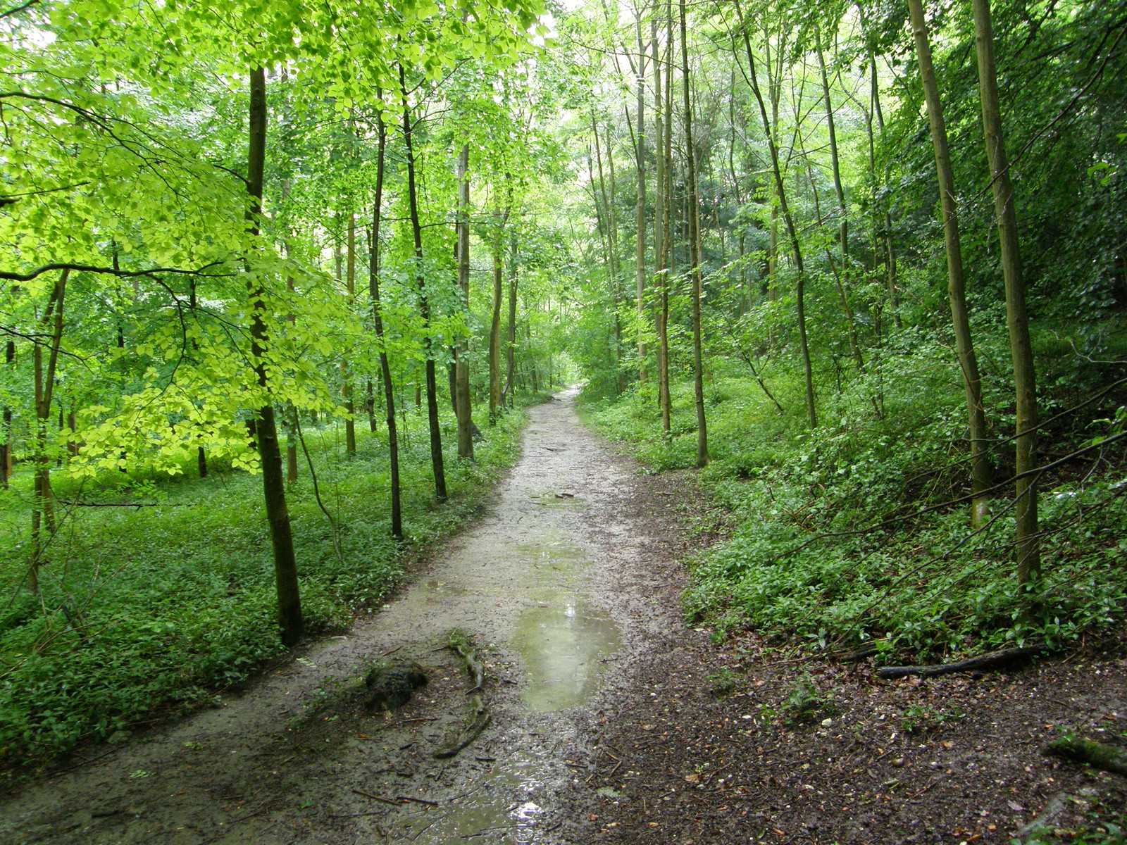 Image from Chorleywood to Amersham and Chesham