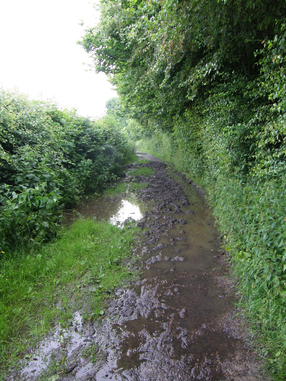 Image from Chorleywood to Amersham and Chesham