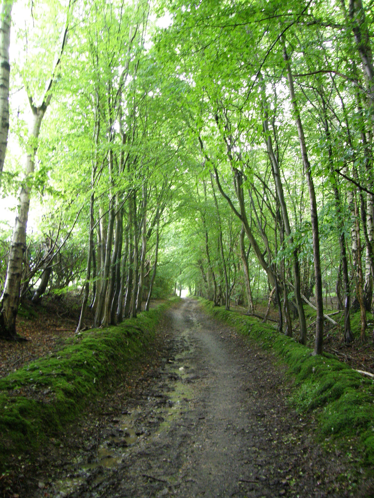 Image from Chorleywood to Amersham and Chesham