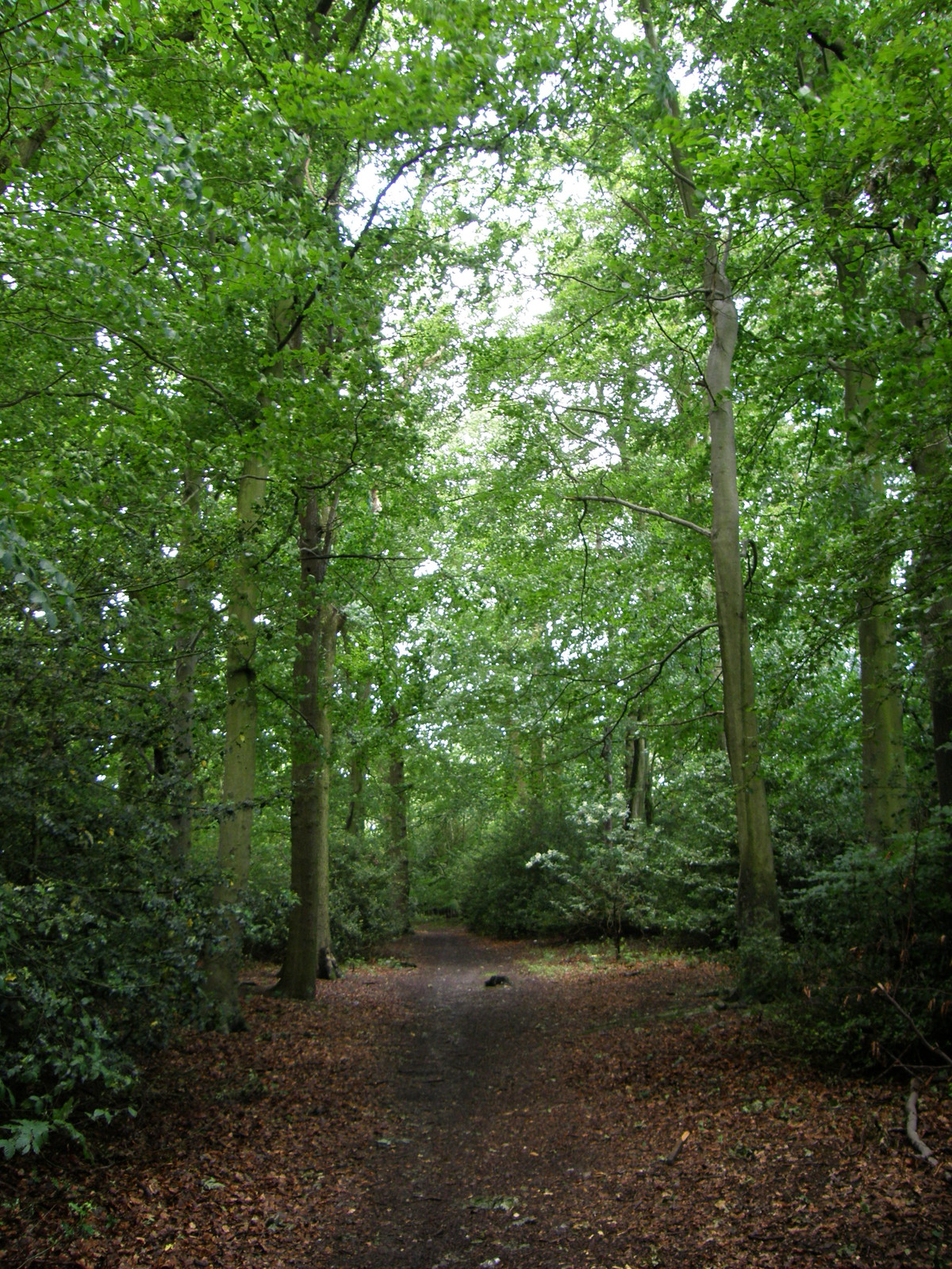 Image from Chorleywood to Amersham and Chesham