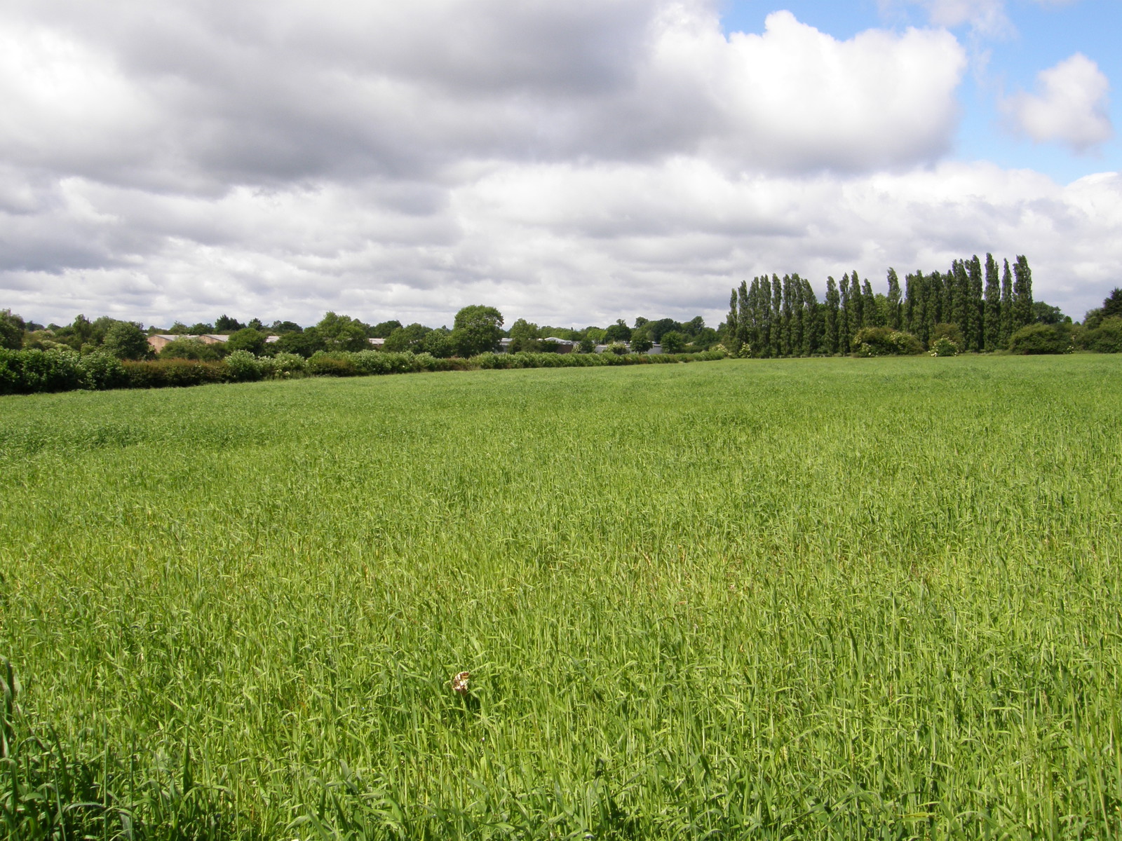 Image from Chorleywood to Amersham and Chesham